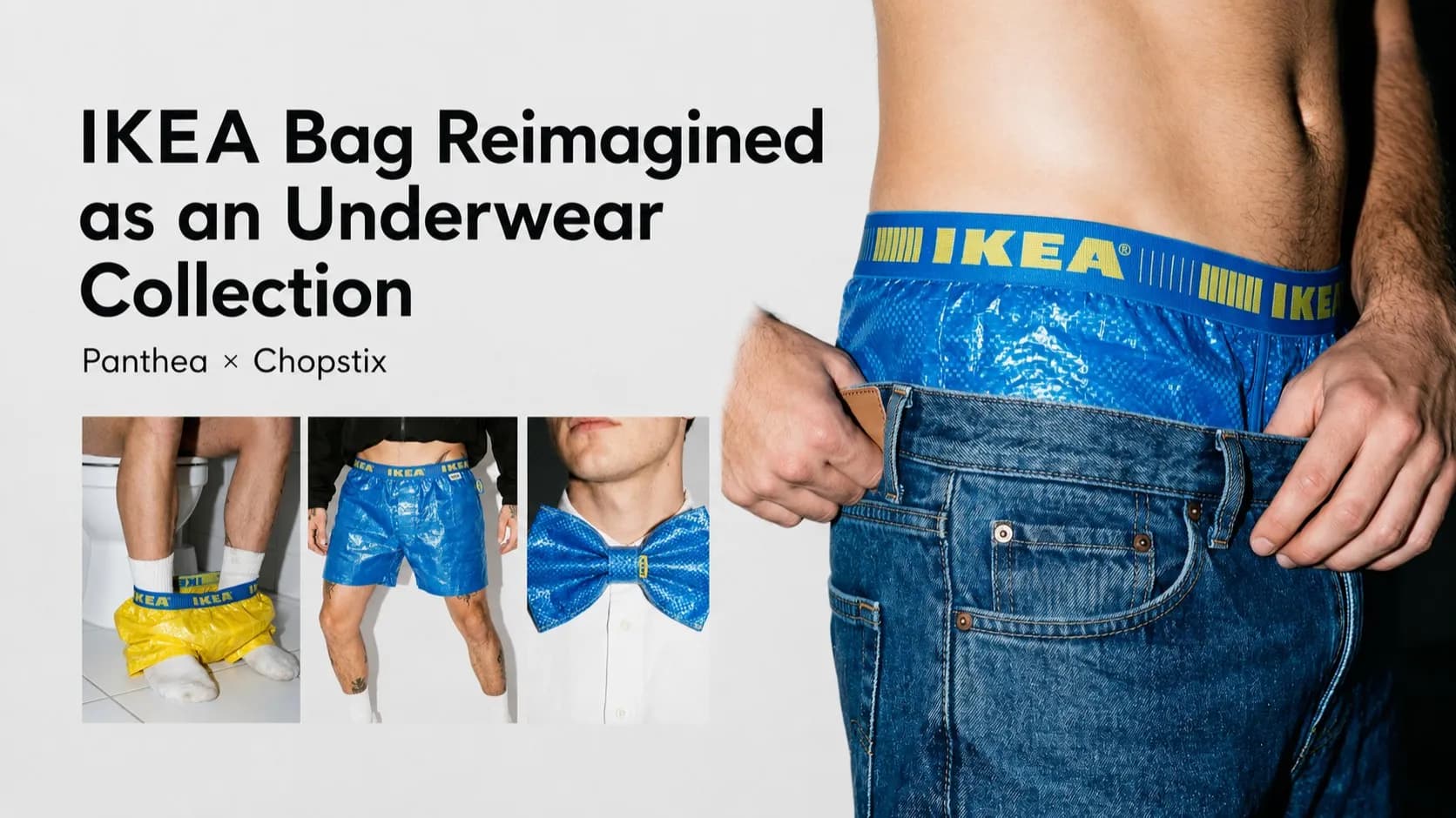 ikea-bag-tr.png